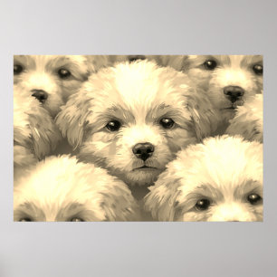 The Litter of Blonde Puppies on a Wall Poster
