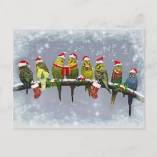 The Little Carollers Postcard