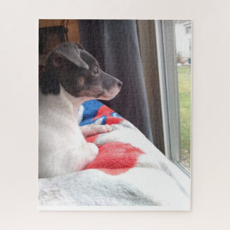 THE LITTLE CHIHUAHUA DOG JIGSAW PUZZLE