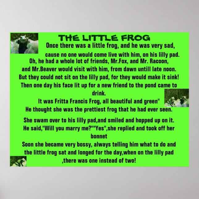 THE LITTLE FROG ,POEM poster (Front)