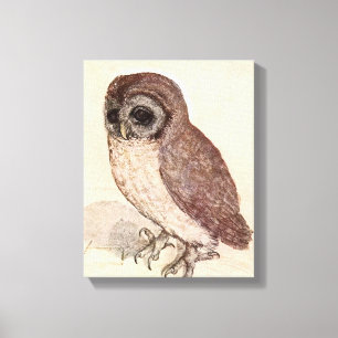 The Little Owl   Albrecht Dürer Canvas Print