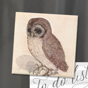 The Little Owl   Albrecht Dürer Magnet