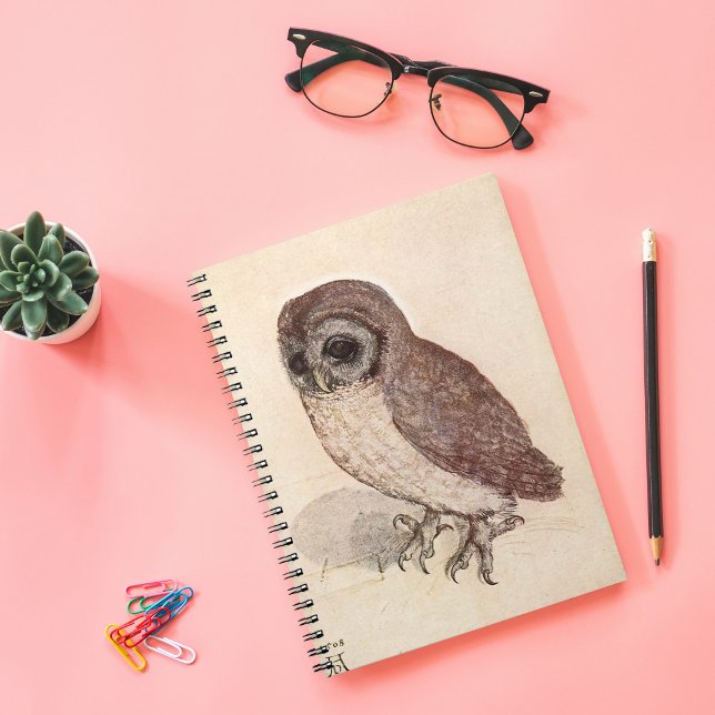 The Little Owl | Albrecht Dürer Notebook (Creator Uploaded)