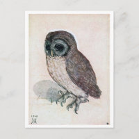 The Little Owl, Albrecht Durer
