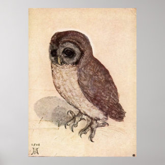 The Little Owl by Albrecht Dürer Poster