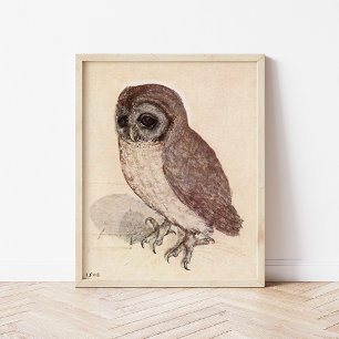 The Little Owl by Albrecht Durer Poster