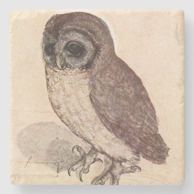 The Little Owl by Albrecht Dürer Square Stone Coaster (Front)