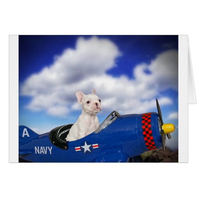 The little pilot (Front Horizontal)