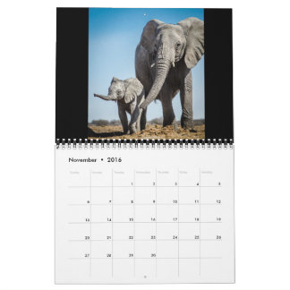 The Littlest Giants Calendar