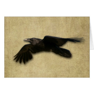 "The Lone Crow" Card