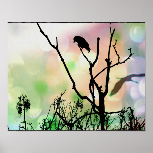 The Lonely Crow Poster (Front)