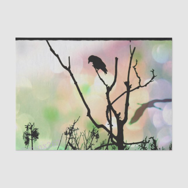 The Lonely Crow Tissue Paper (Front)