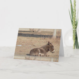 The Lonely Donkey Card