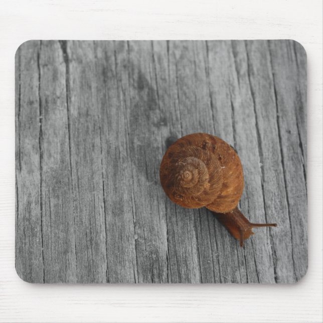 The Lonely Snail Mousepad (Front)