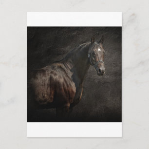 The loner postcard