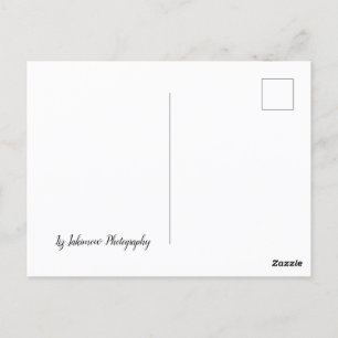 The Long Road Home - car on highway Postcard