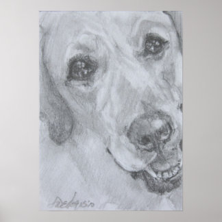 The Look Of Love Poster