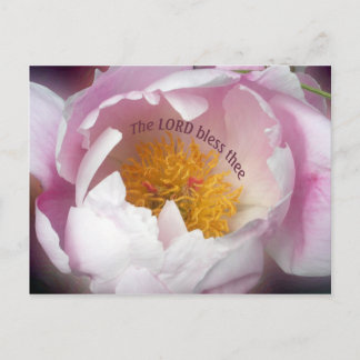 The Lord Bless Theee Postcard