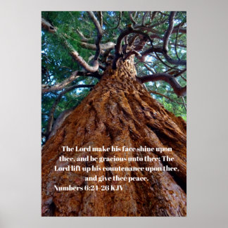 The Lord make his face shine upon, uplifting Poster