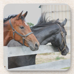The Love Horses Coaster