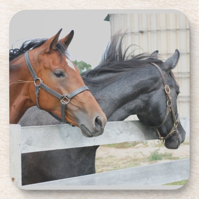 The Love Horses Coaster (Front)