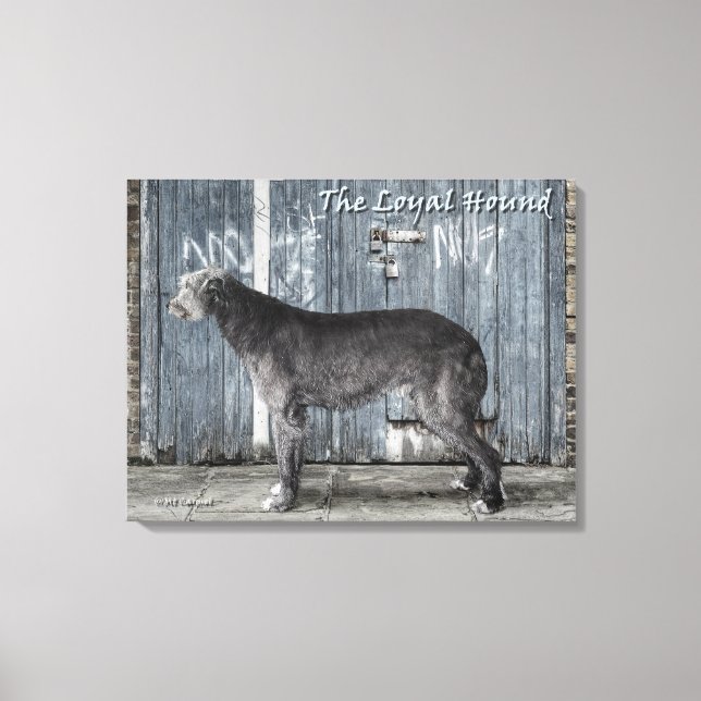 The Loyal Hound Invitation Canvas Print (Front)
