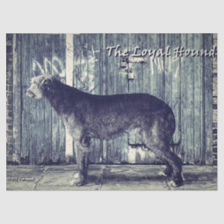 The Loyal Hound Vintage Tissue Paper
