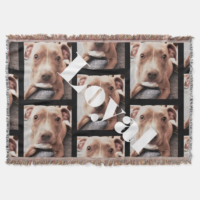 THE LOYAL PIT BULL throw (Front)