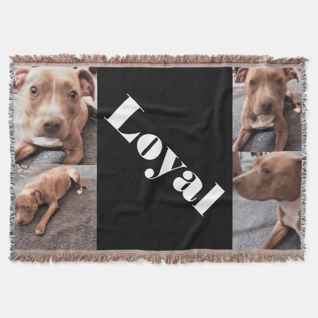 THE LOYAL PIT BULL throw (Front)