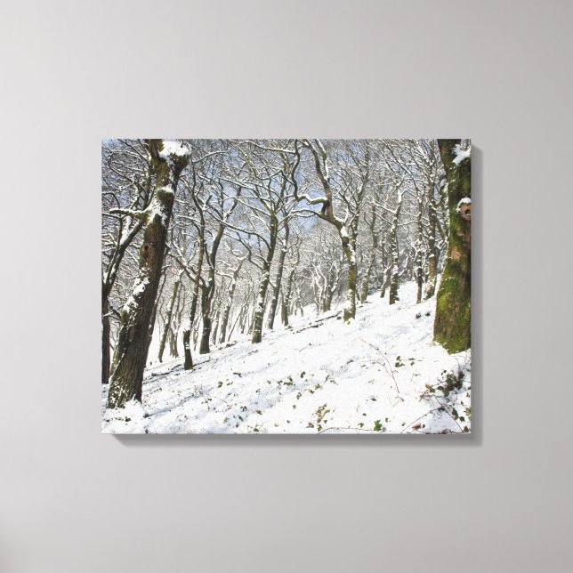 The Macclesfield Forest winter Card Canvas Print (Front)