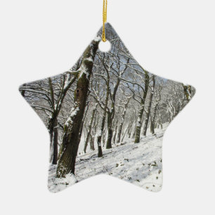 The Macclesfield Forest winter Card Canvas Print C Ceramic Tree Decoration