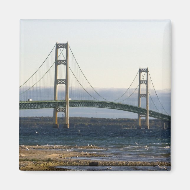 The Mackinac Bridge spanning the Straits of 4 Magnet (Front)