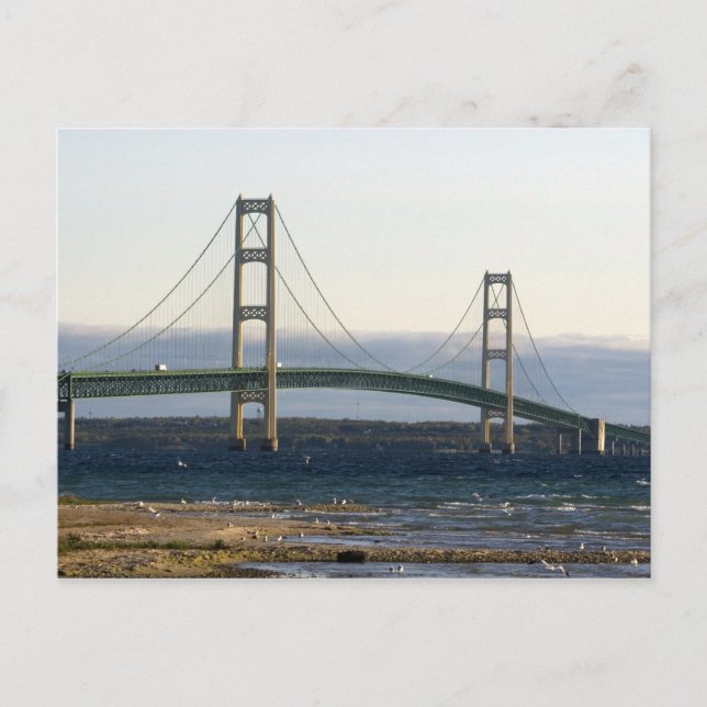 The Mackinac Bridge spanning the Straits of 4 Postcard (Front)