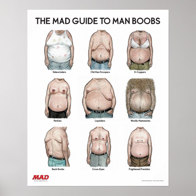 The MAD Guide to Man B**bs Poster (Front)
