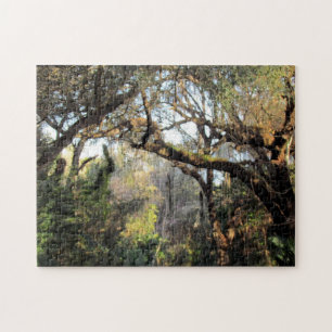 The Magic Forest Puzzle