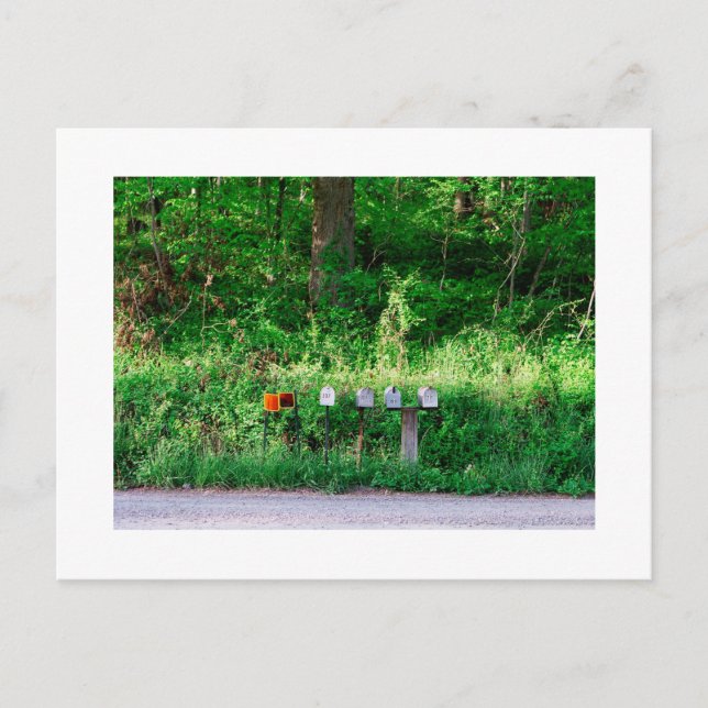 The Mailboxes Postcard (Front)