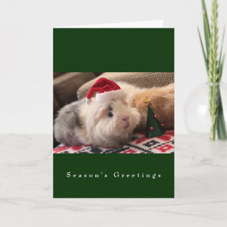 The Main Street Piggy Boys Holiday Card