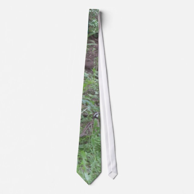 The Majestic Bob White Quail Tie (Front)