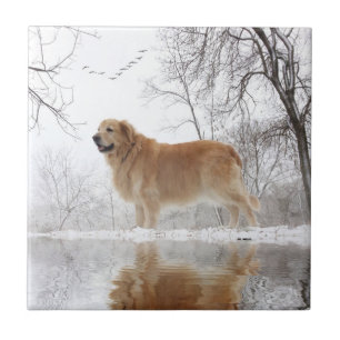 The Majestic Golden Retriever Tile
