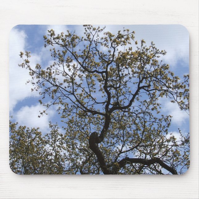 The Major Oak Mouse Pad (Front)