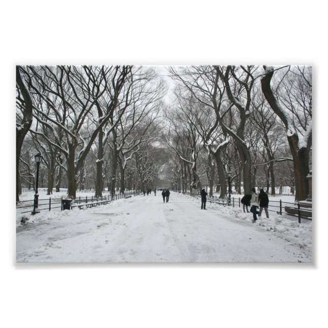 The Mall, Central Park NY Photo Print (Front)