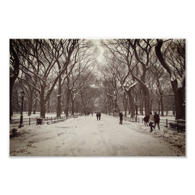 The Mall, Central Park Photo Print (Front)