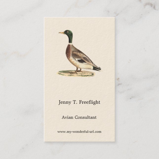 The Mallard or Wild Duck (Anas platyrhynchos) Business Card (Front)