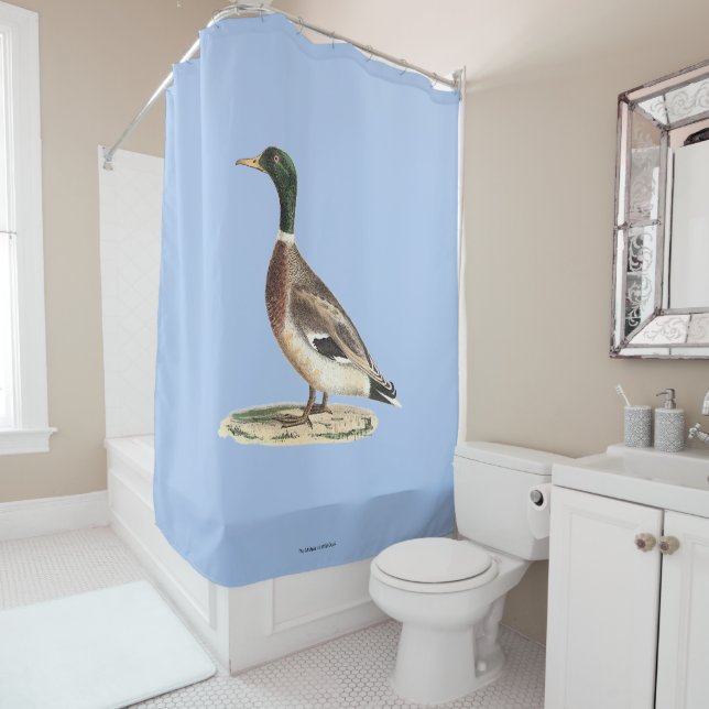 The Mallard or Wild Duck (Anas platyrhynchos) Shower Curtain (In Situ)