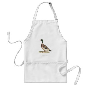 The Mallard or Wild Duck (Anas platyrhynchos) Standard Apron