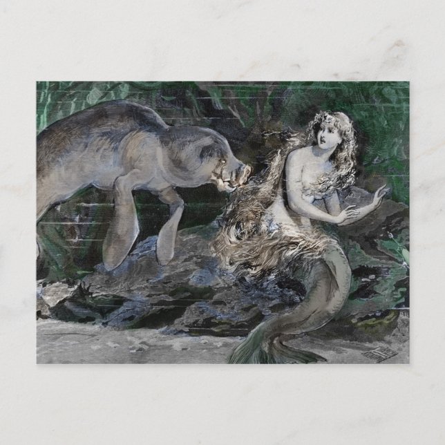 The Manatee Meets a Mermaid Holiday Postcard (Front)