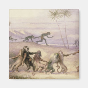 The Manners and Customs of Monkeys Magnet