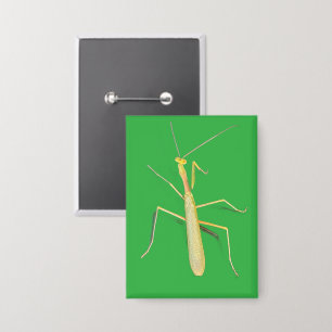 The Mantis, Square