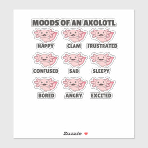 The Many Faces Of An Axolotl Funny Feelings