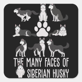 The Many Faces of the Siberian Husky For Dog Lover Square Sticker